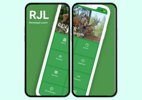 Mobile App Development Package Example: Mobile App Development