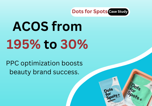 Pay Per Click Package Example: PPC Optimization (ACOS from 195% to 30%)