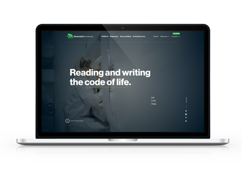 Web Development Package Example: MammothBiosciences