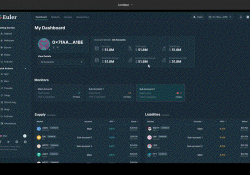 Web Design Package Example: Euler Labs Dahboard