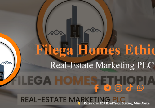 Web Design Package Example: Filega Homes Ethiopia Real-estate Marketing