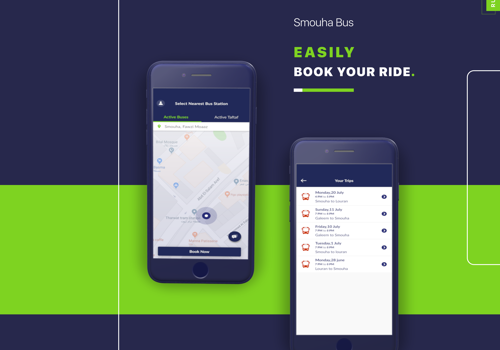 Custom Software Development Package Example: Smouha bus System