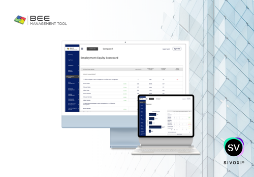 Custom Software Development Package Example: Obtain your B-BBEE score with this powerful tool