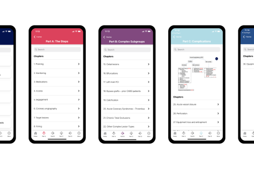 UX/UI Design Package Example: PCI App