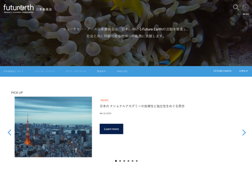 Web Development Package Example: WEB development