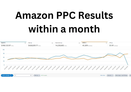 Pay Per Click Package Example: Manage Amazon PPC