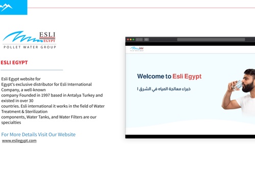 Web Development Package Example: Esli Egypt website