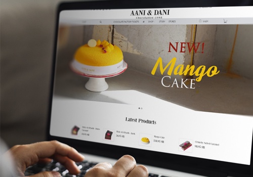 Web Development Package Example: AANI & DANI