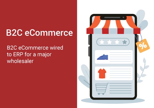 Custom Software Development Package Example: B2C eCommerce wired to ERP for a major wholesaler