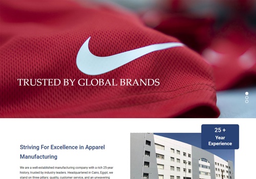 Web Design Package Example: TIE Egypt Wesite