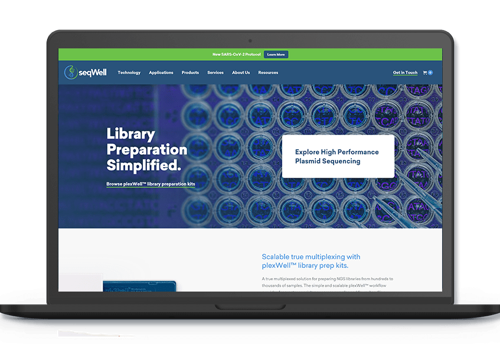 Web Development Package Example: seqWell
