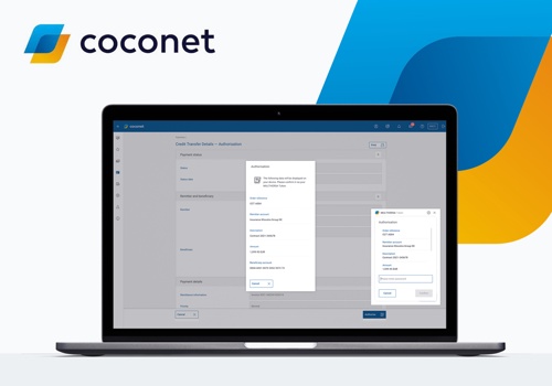 Custom Software Development Package Example: Coconet