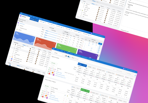 Custom Software Development Package Example: Marketing Team Management Software