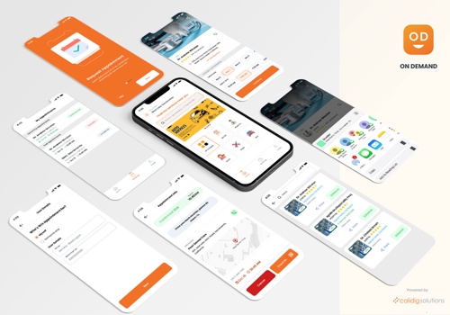 UX/UI Design Package Example: On Demand App - UI/UX design