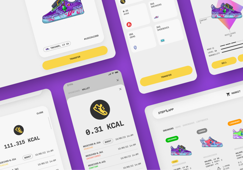 Web Development Package Example: Move2Earn Web Application