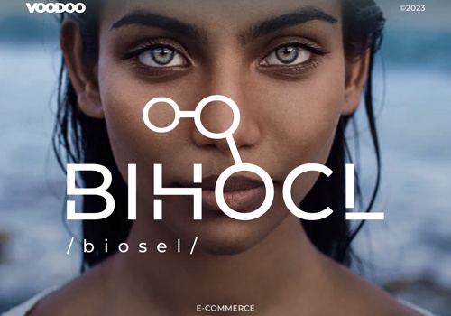 E-Commerce Development Package Example: Bihocl | Custom Shopify Store Developmet