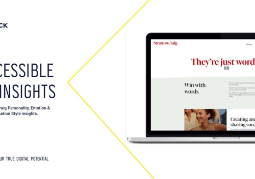 AI Development Package Example: AI Insights | Stratton Craig Tone of Voice