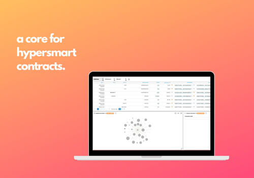 Web Development Package Example: Blockchain Explorer