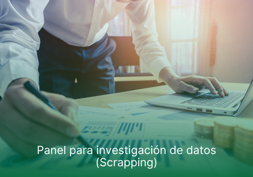 IT Strategy Consulting Package Example: Panel for data research (Scrapping)