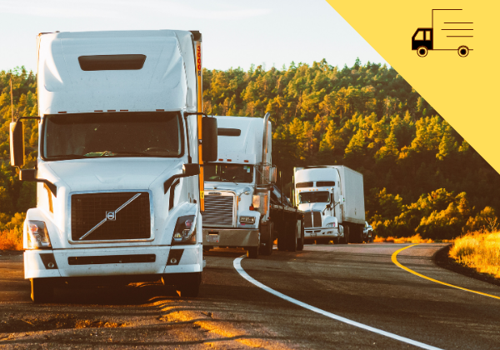 BI & Big Data Consulting & SI Package Example: Digital Transformation for a Asset-based  3PL