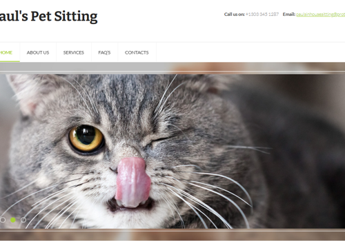 Web Development Package Example: Website - Paul