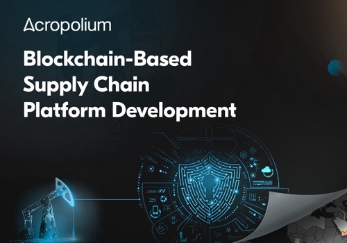 Custom Software Development Package Example: Blockchain-based Supply Chain Platform Development