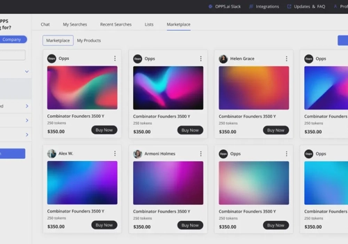 Web Design Package Example: The one platform for browsing prospects
