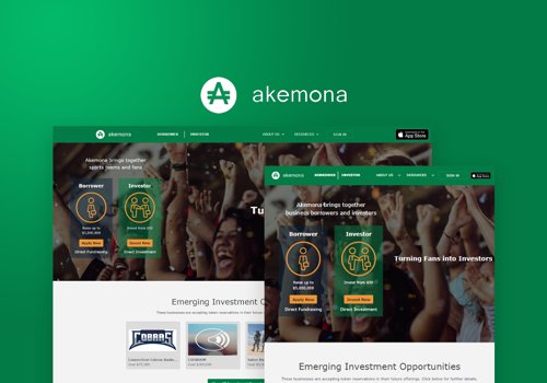 Web Development Package Example: Akemona