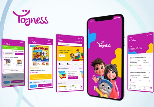 Mobile App Development Package Example: Toyness