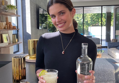 Social Media Marketing Package Example: Dahlia Tequila Campaign