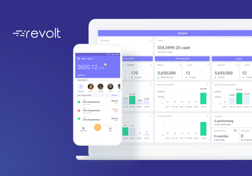 Custom Software Development Package Example: Revolt