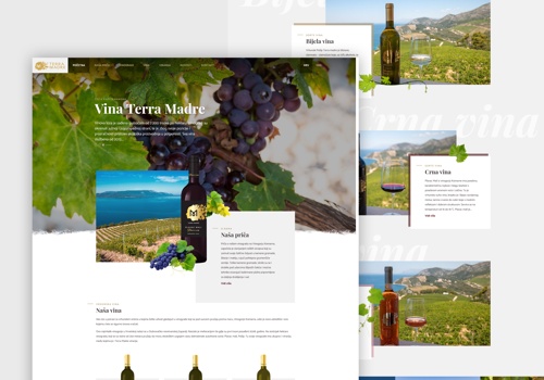 Web Design Package Example: Terra Madre Wines