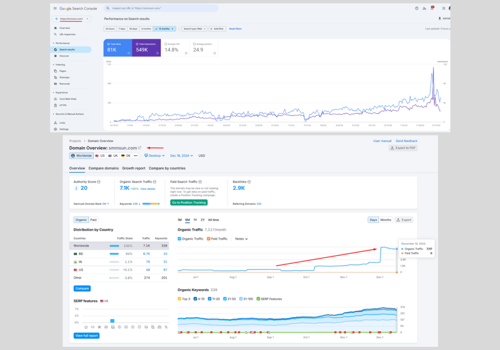 Search Engine Optimization Package Example: SMM Panel SEO for the keyword "SMM Panel"