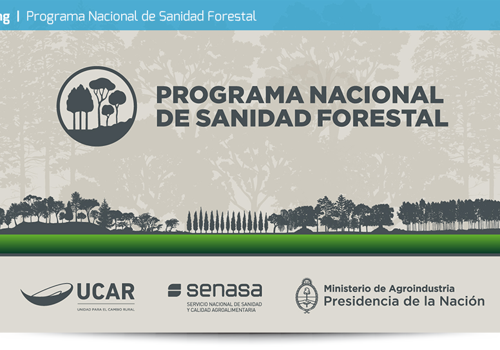 Branding Package Example: Brand Design