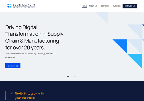 Web Development Package Example: Blue Marlin consulting group