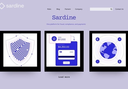 Web Development Package Example: Sardine AI