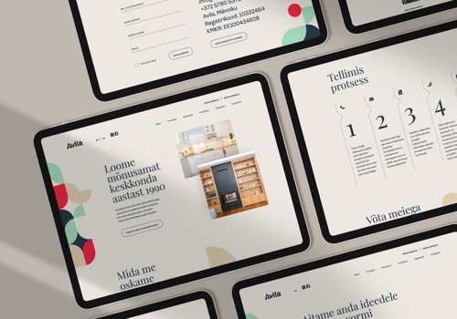 Web Development Package Example: Avila Wordpress development