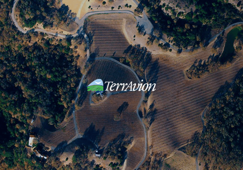 Web Development Package Example: TerrAvion