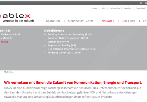 Custom Software Development Package Example: Network infrastructure Solutions