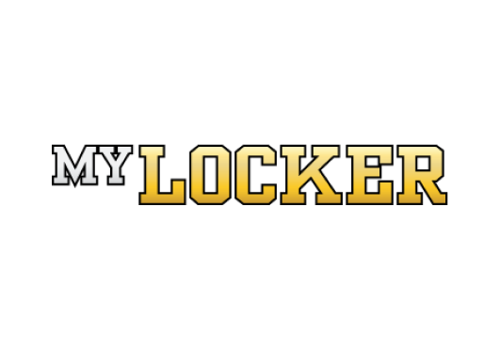 Search Engine Optimization Package Example: My Locker Raises Their Bottom Line With Strategy