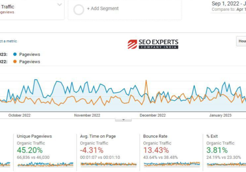 Search Engine Optimization Package Example: Organic Pageviews Increased by 50.12%