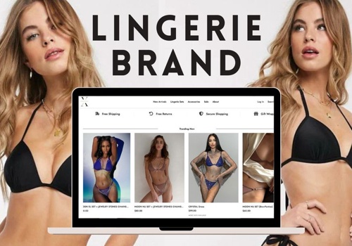 Ecommerce Marketing Package Example: Lingerie Brand Website Redesign - 632% CRO LTV CPC
