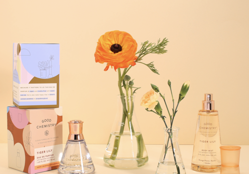 Social Media Marketing Package Example: Good Chemistry