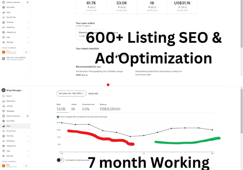 Social Media Marketing Package Example: A Project with Noor on Ecommerce Platforms