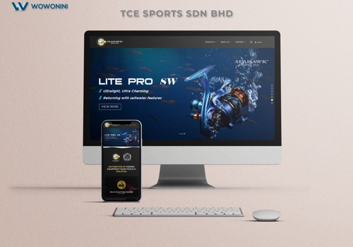 Web Development Package Example: Portfolio - Corporate Website