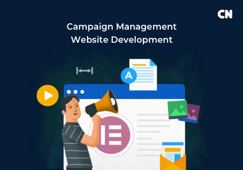Web Development Package Example: Campaign Management Website Development