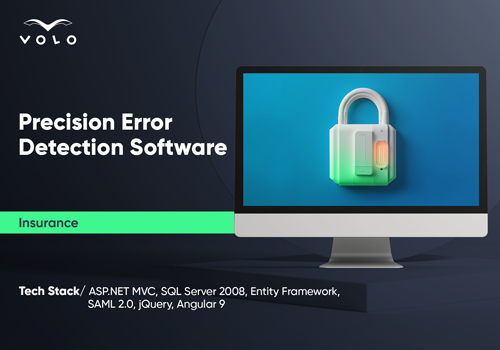 Custom Software Development Package Example: Precision Error Detection Software