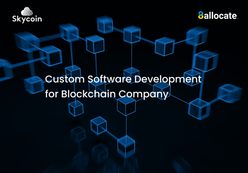 IT Strategy Consulting Package Example: Custom Software Development for Blockchain Company