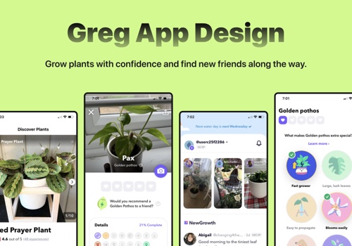 Web Design Package Example: Greg App Design