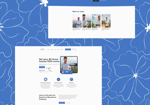 Search Engine Optimization Package Example: Squadrone Academy Wordpress LMS Website